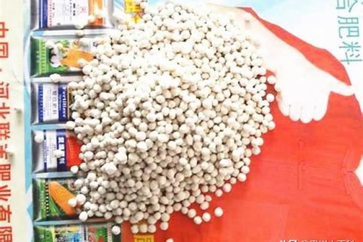 红豆馅放什么糖