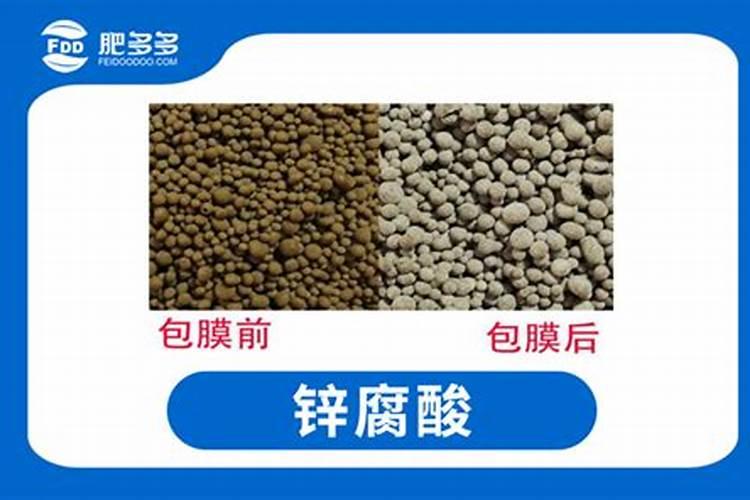 氮肥的作用