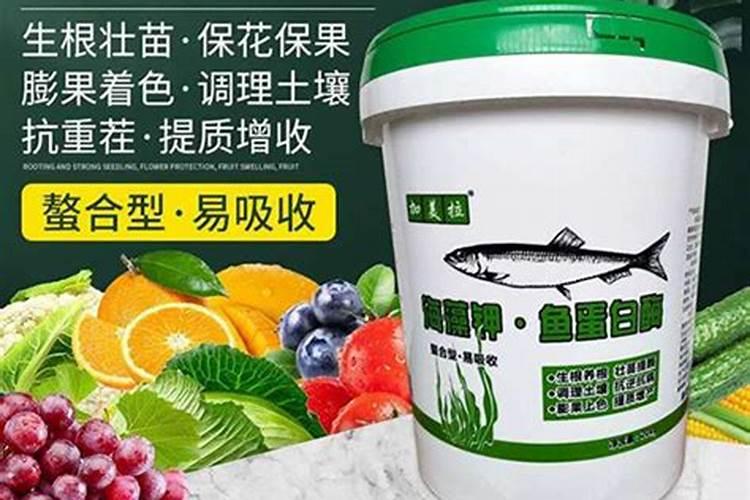 蔬菜上喷氨基酸叶面肥能吃吗