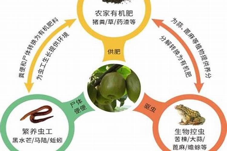 液体有机肥有机质检测方法标准