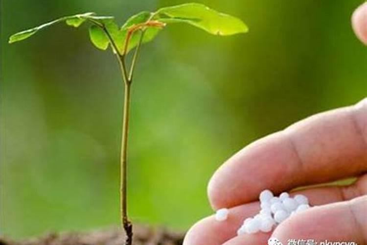 氮肥施多了怎么补救