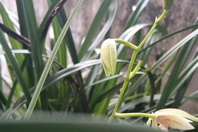 河北中慧利威节能科技有限公司怎么样