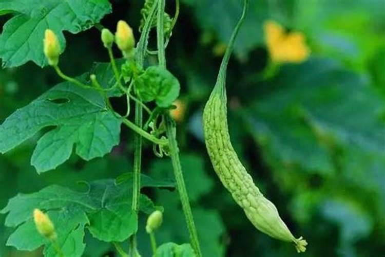 养虾肥水em菌剂每亩花费多少