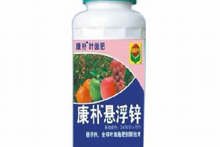 发财树浇水的正确方法 夏季如何浇水更合理