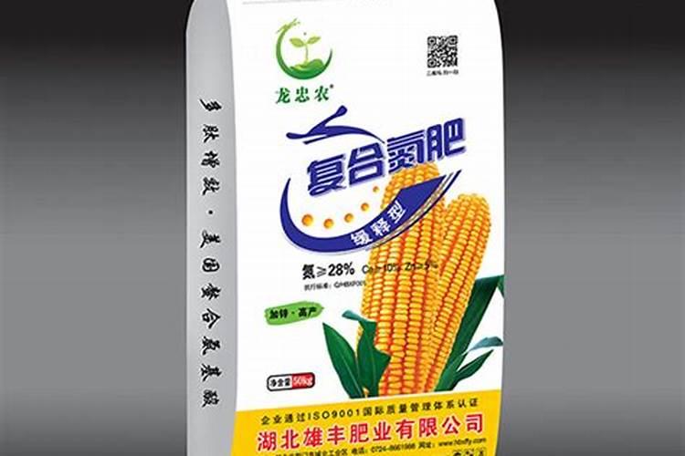 多肉植物青苹果怎么养