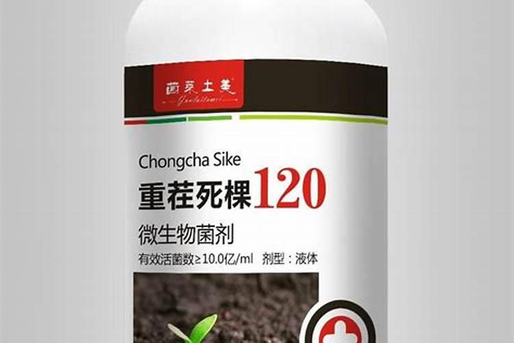 生姜种植什么时候用豆粕好？有什么需要注意的？