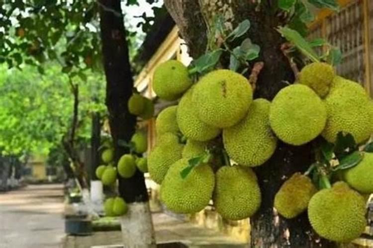 大豆油过期了有什么用