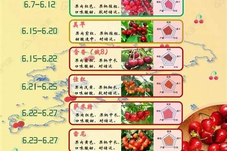 枇杷树施什么肥最好