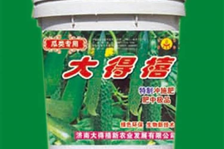 苦瓜的施肥技巧