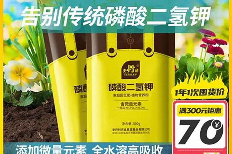 苗圃地常用的肥料及施肥原则和方法