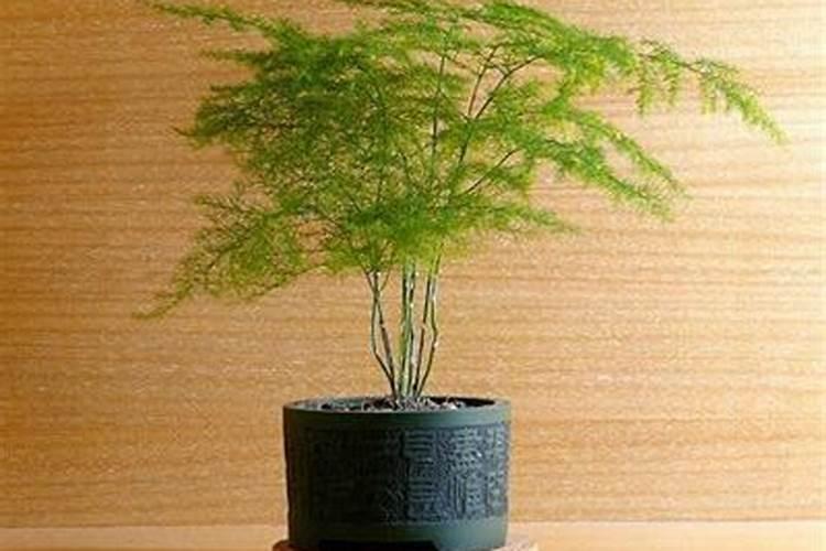 洛阳洛龙区格力公司啥时候招工