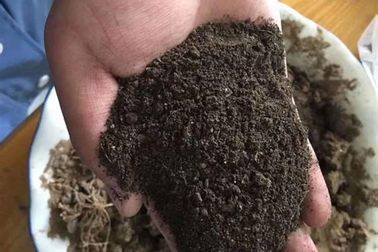 烂菜叶和果皮怎么做成肥料