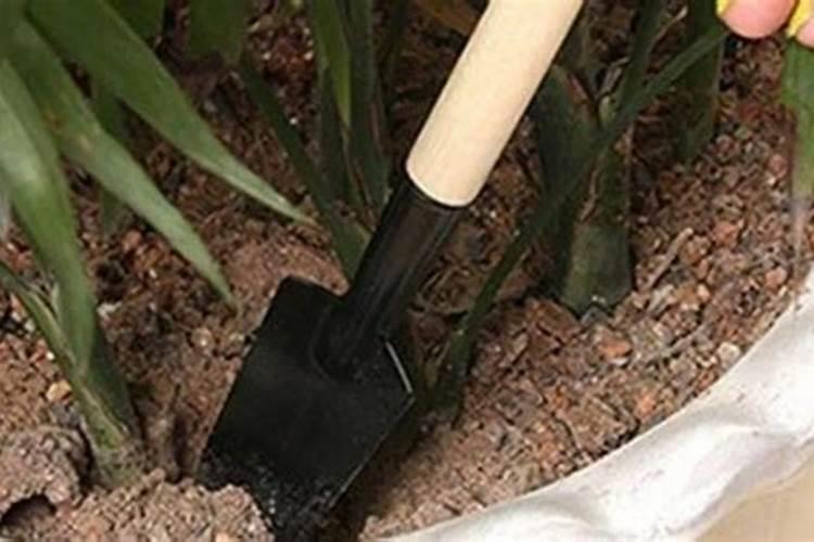 泥土颜色为红色,干燥时很硬,遇水后又很黏,这种土能种菜吗？怎样改良？