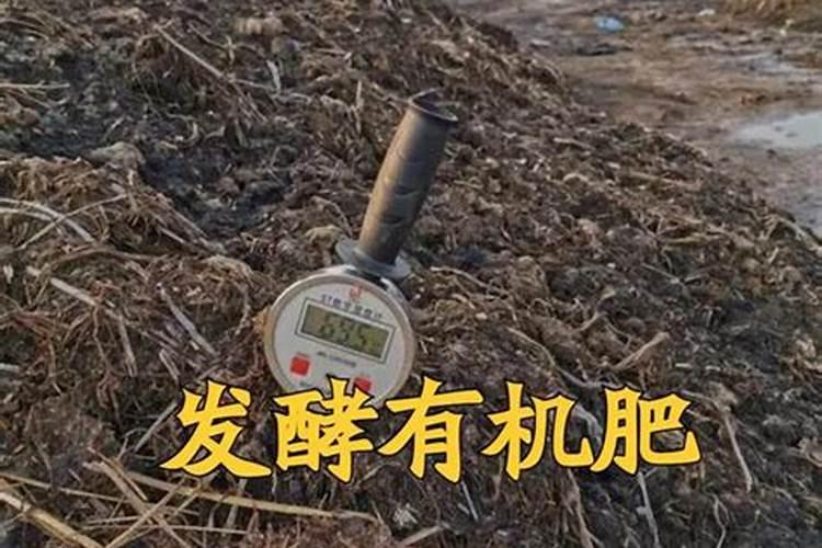 有机肥+化肥+菌肥配合使用效果怎么样？