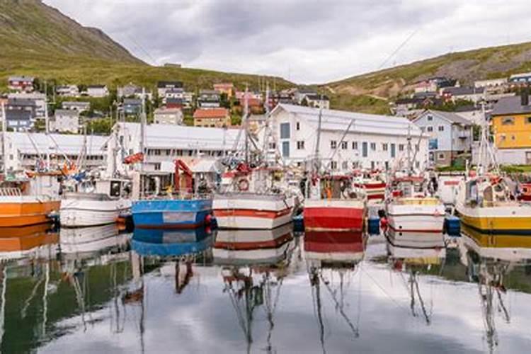 植物什么时候施用磷肥