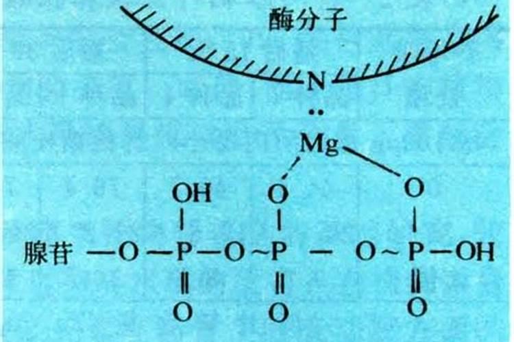 磷肥有哪些