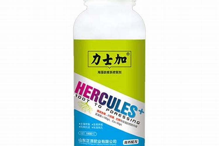 海藻肥的功效与作用