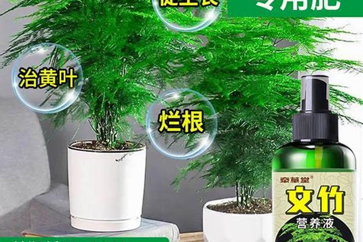 那些蔬菜可以用叶面肥