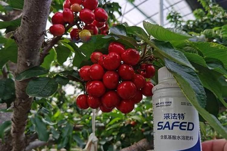 水溶肥用法和用量