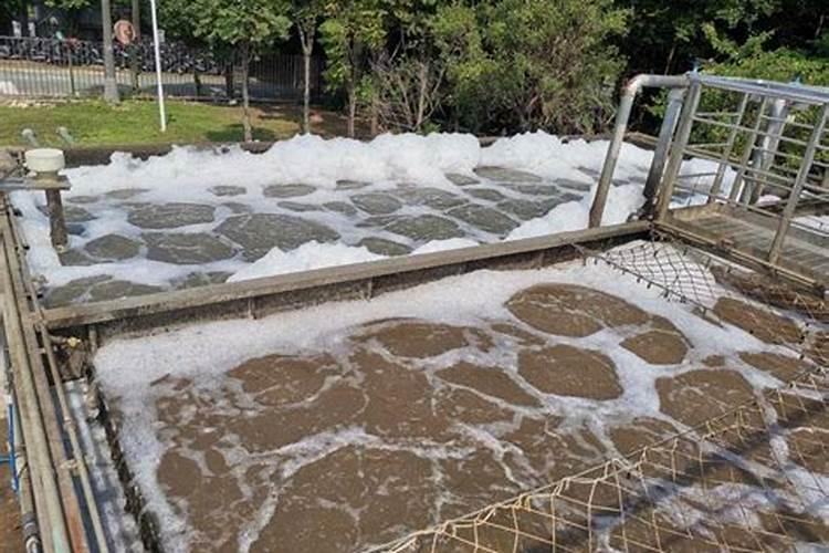 种花生撒石灰粉,什么时候撒比较合适？