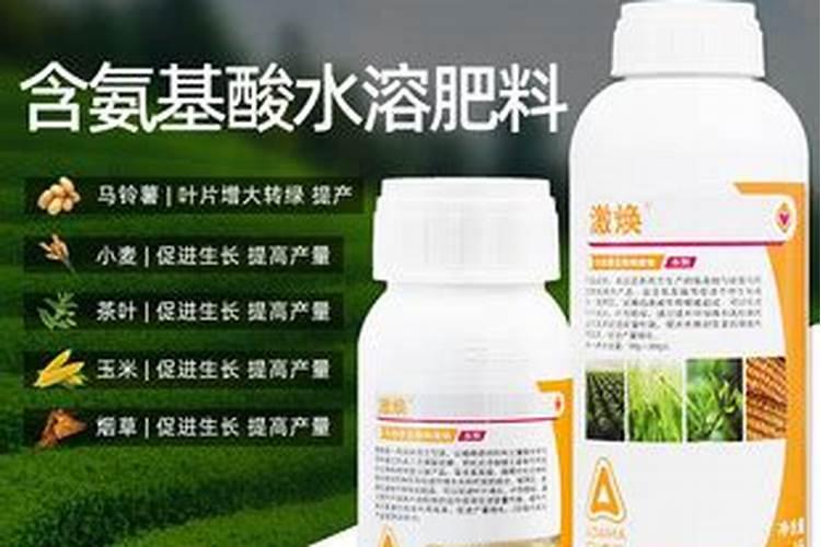 百合公认最好的叶面肥