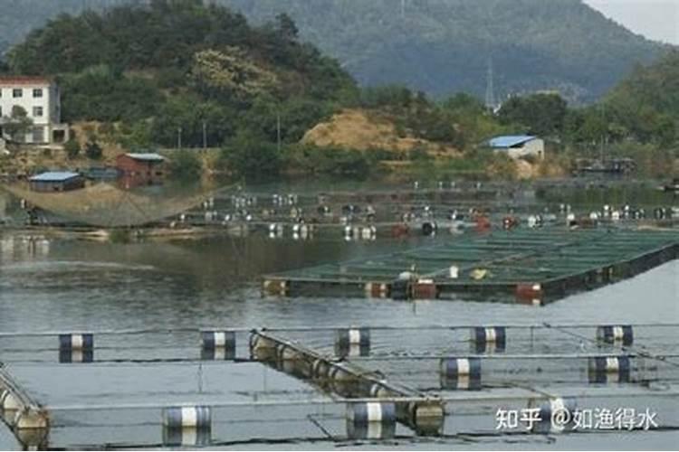 水淹田不适合施哪种氮肥 水淹田是什么意思