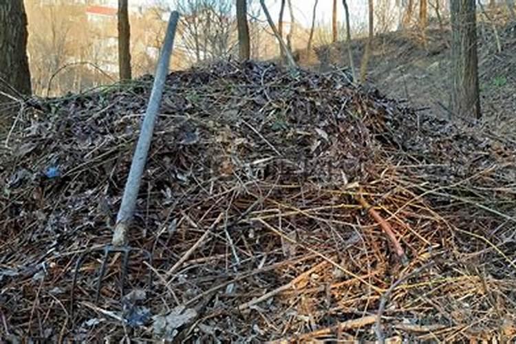 新院有人被泼毒药后,哪三种食物是绝对不能碰的？