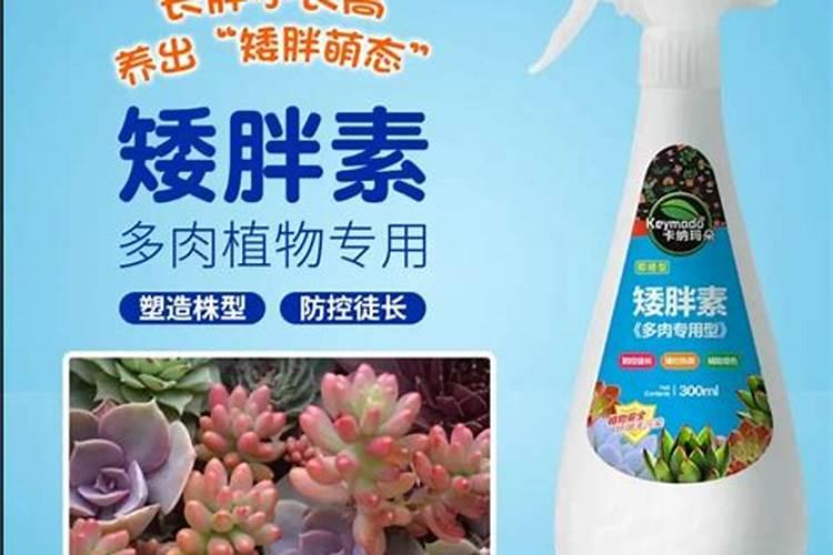柑橘专用叶面肥哪个好？柑橘专用肥用什么好？柑橘肥料用“昆仑风”