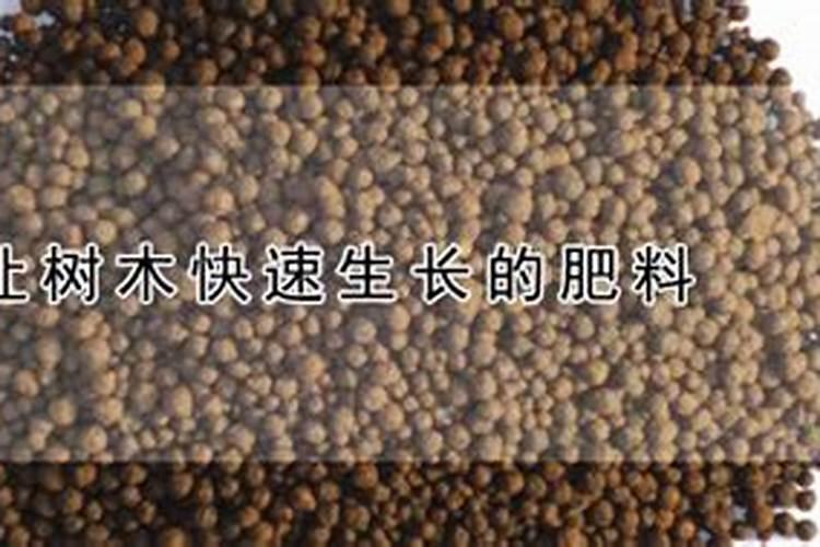 柑橘采收后喷什么叶面肥好？