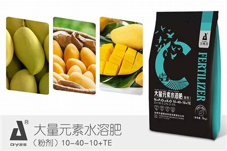 芒果种植施用水溶肥料注意事项有哪些
