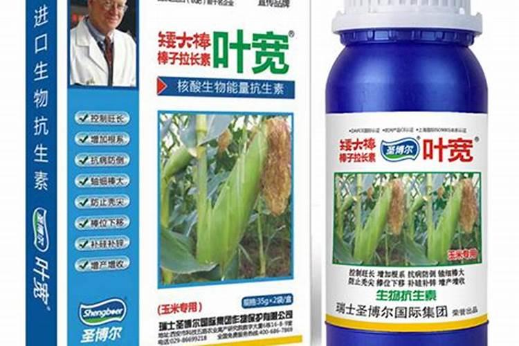 多肽尿素能作为叶面肥使用吗。