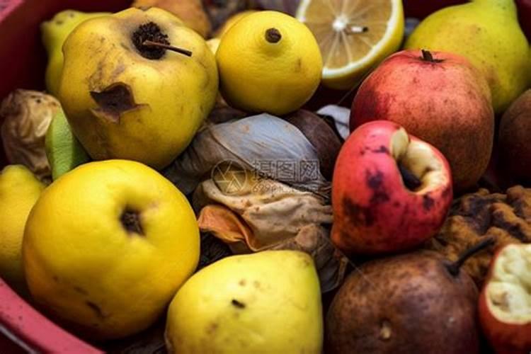 室内适合水养的18种植物有哪些