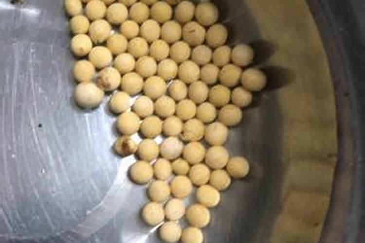 栀子花可以浇黄豆水吗？