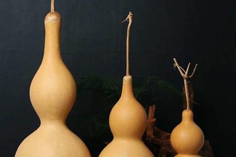 葫芦种植时什么时候追肥最好,什么时候搭架最好