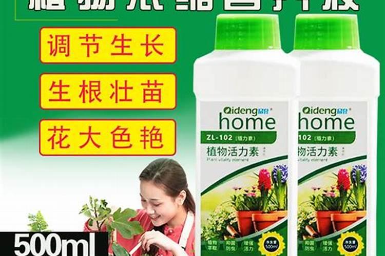 水培绿萝用什么肥料长得快