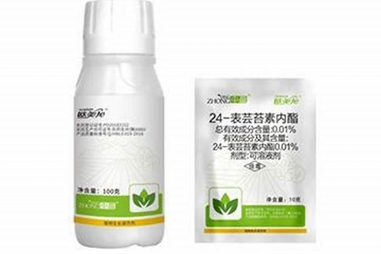 柑橘挂果用什么钙肥比较好？