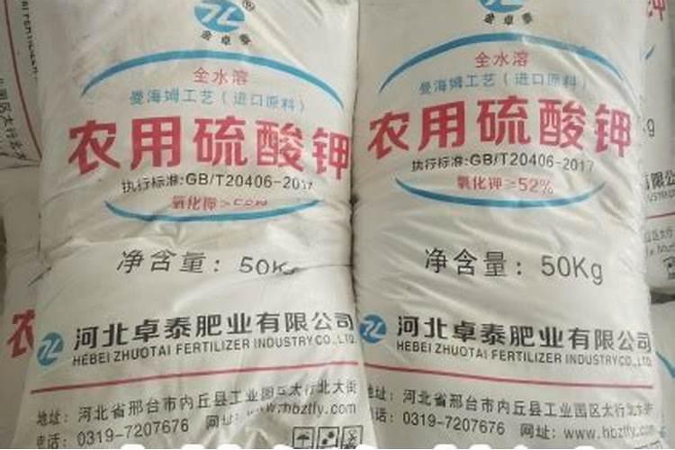 黄杨怎样移栽成活率高