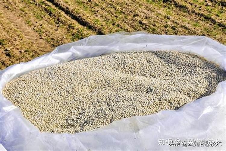 怎么样自制磷肥