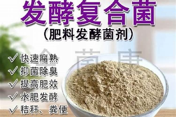 猪粪发酵有机肥细节操作