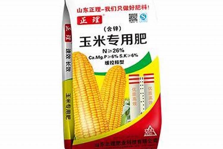 什么肥促进花芽分化;什么肥料能让根系快速生长