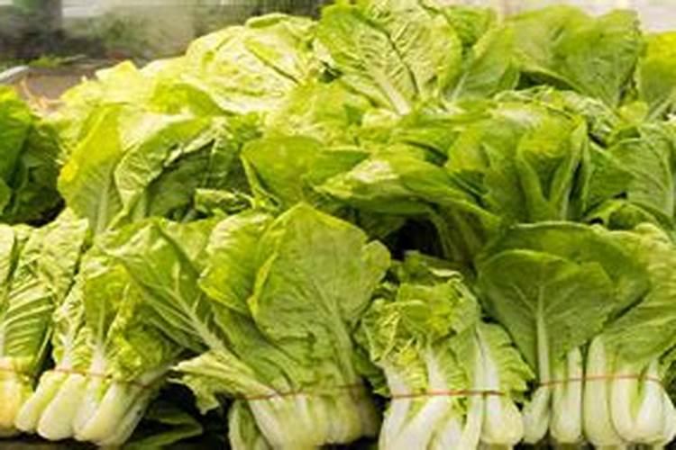 塑料烧成灰能当肥料吗？