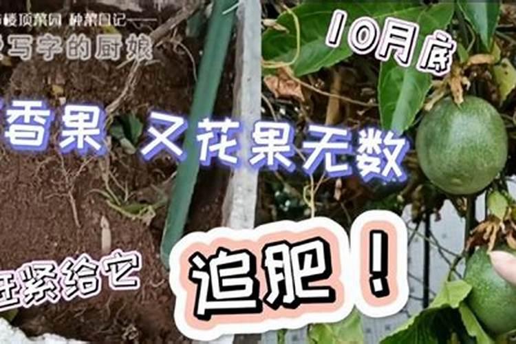 百香果施什么肥料最好