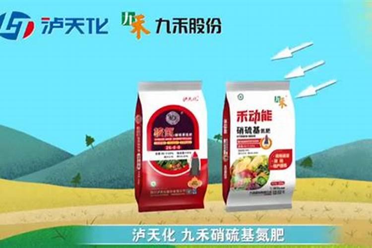 钾肥能溶于水吗