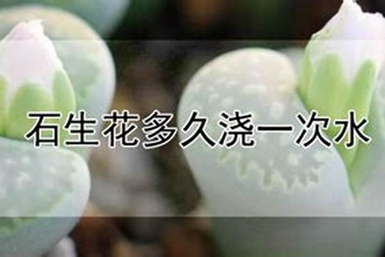 开垦刀和七字刀哪种旋地效果好