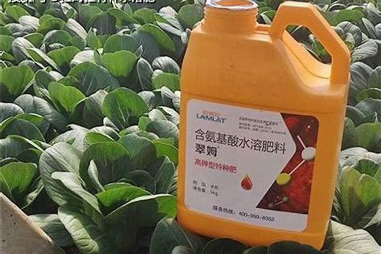 锌肥对豆角有伤害没有