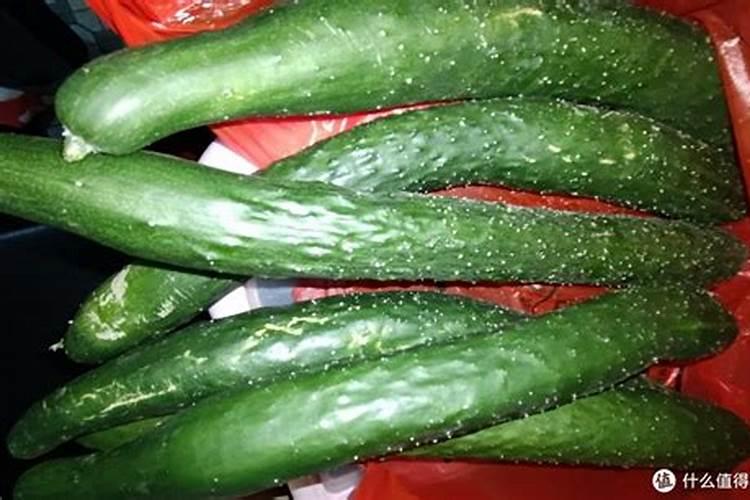 种黄瓜最忌什么肥料和药