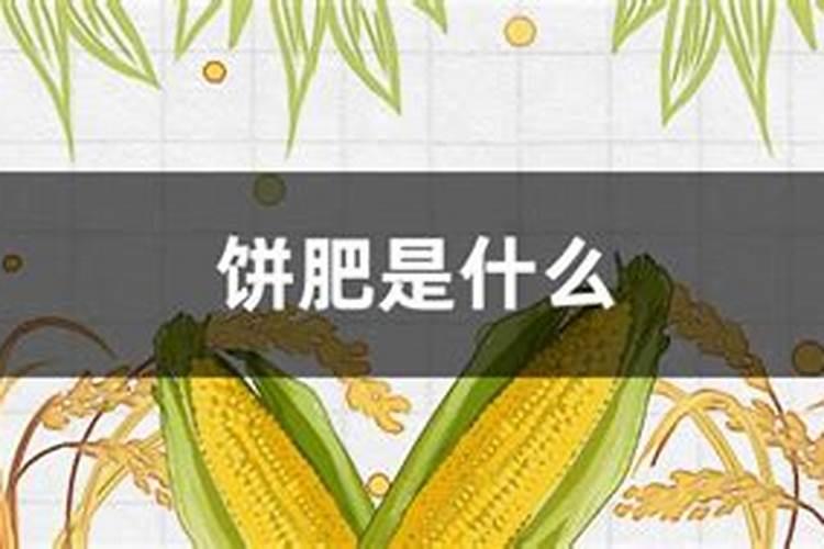 油菜饼不发酵如何做肥料吗花卉百科