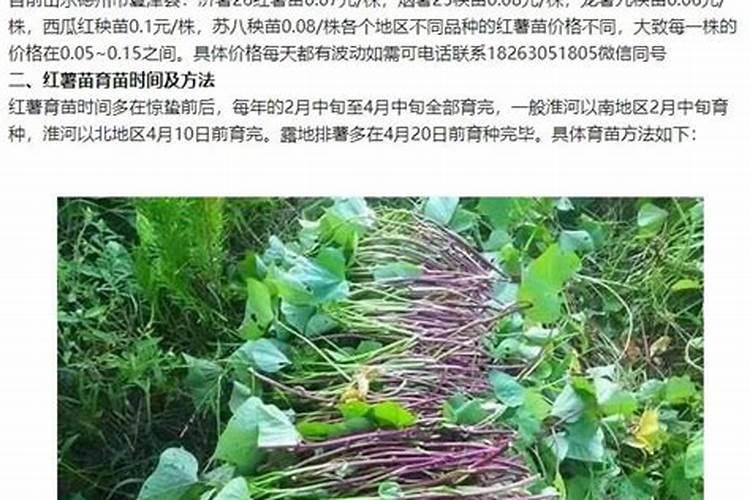 水稻灌浆期可以喷施尿素水吗