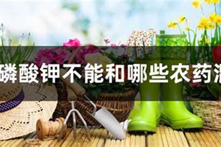亚磷酸钾可以用在大蒜抽苔期吗？