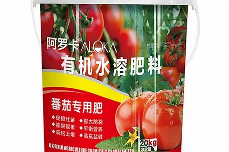 柠檬树开花结果后如何管理？